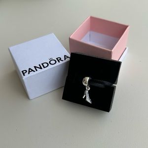 Disney Pandora charm